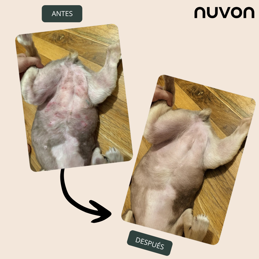 Nuvon – El spray que restaura la piel de tu mascota desde el primer día