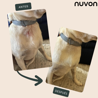 Nuvon – El spray que restaura la piel de tu mascota desde el primer día
