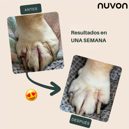 Nuvon – El spray que restaura la piel de tu mascota desde el primer día